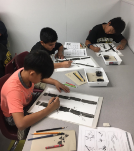 Improved Motor Skills